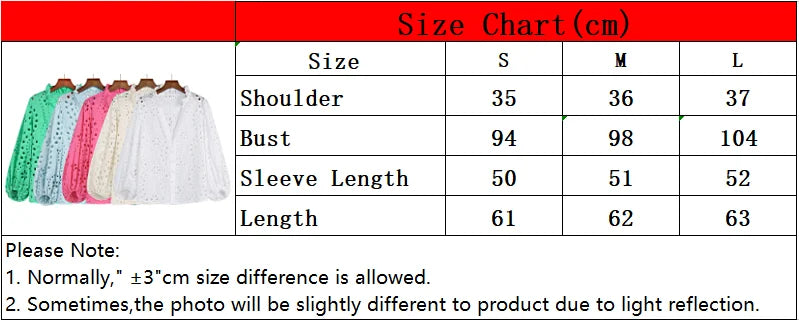 Embroidered Blouse Women Fashion Long Sleeve Blusas Fitted Clothing Female Shirt Slim Lady Top Work Wears