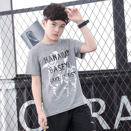 Boy's T-Shirts Boys Summer T-Shirt Sizes from kids to teenagers multiple design AwsomU